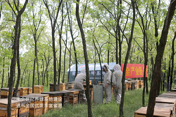 1575187407912371.jpg 5.jpg