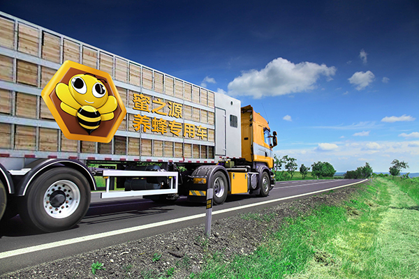 1575187527209451.jpg 12.jpg