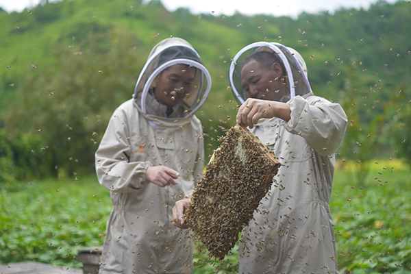 1575187608292823.jpg 屏幕快照-2017-10-22-10.17.jpg